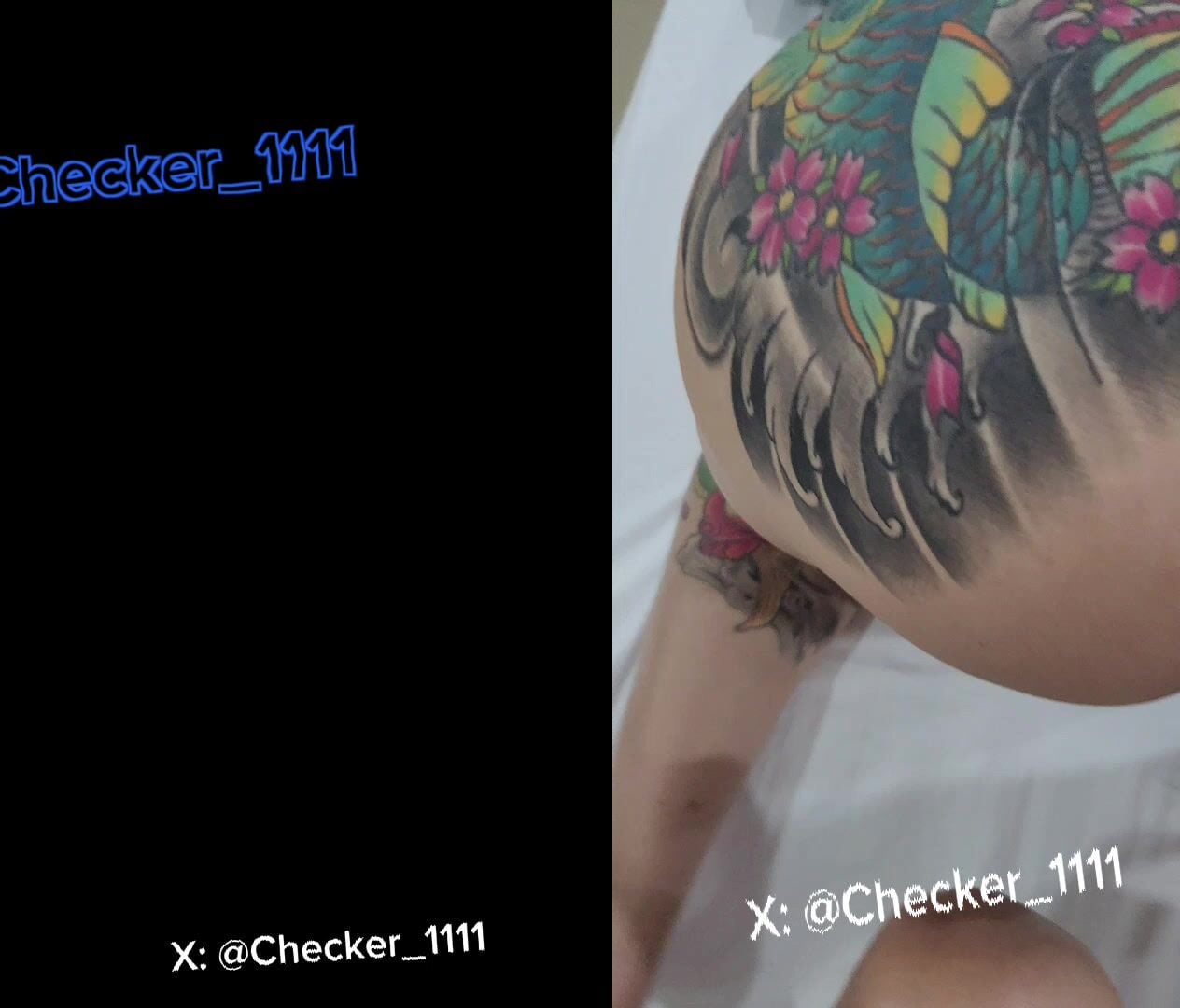 Checker_1111 chịch thánh nữ Vanky 2025 (Phần 2)