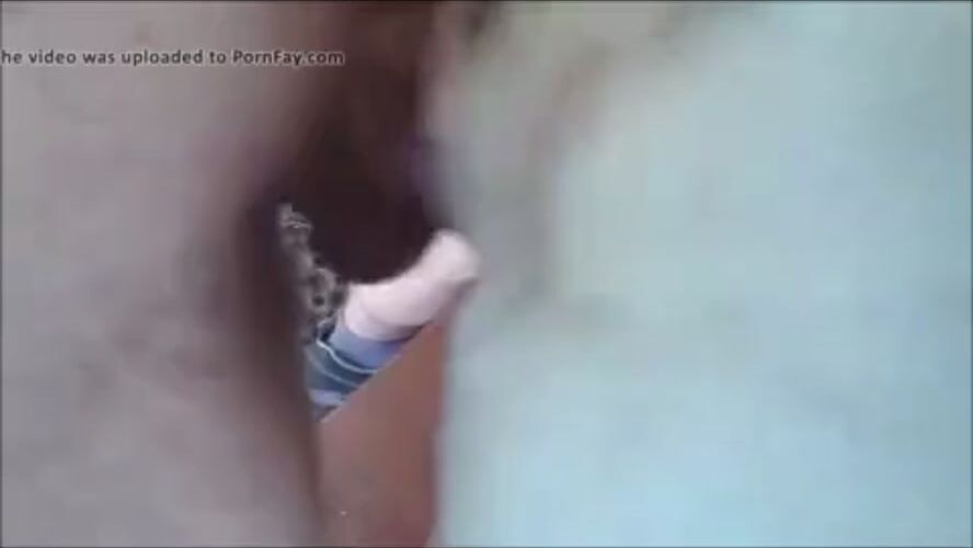 cái lồn chó cái cinh xinh