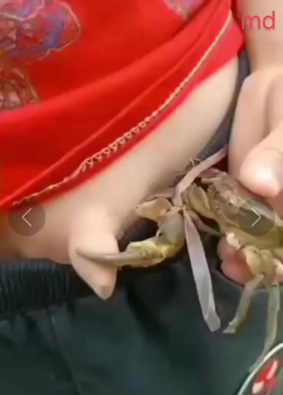 Tổng hợp thú vị 🤡