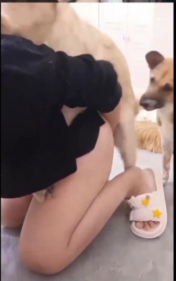 động vật vui vẻ 3