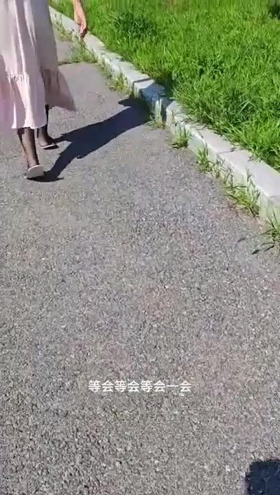 BDSM em gái múp rụp đeo đuôi cáo đi khắp đường .