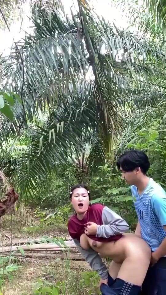 Chị chị gái hàng xóm trong vườn dừa mông to lồn múp bắn tinh đầy lồn dâm đãng