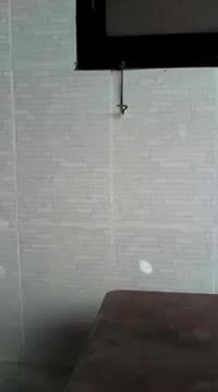 Quần đùi b đội. Hàng V N chất lượng cao. Không xem hơi phí