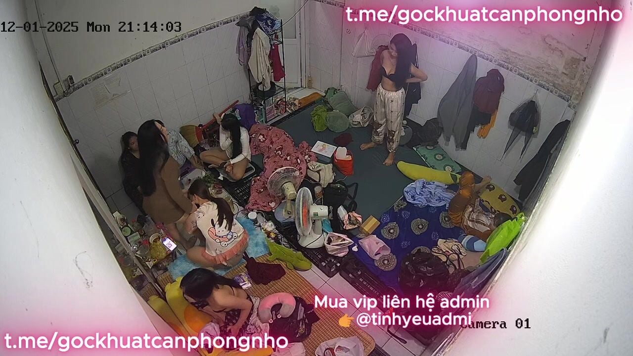 Động phò aka 2025 P2