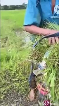 Full album clip myhanh2000 public some 35 2