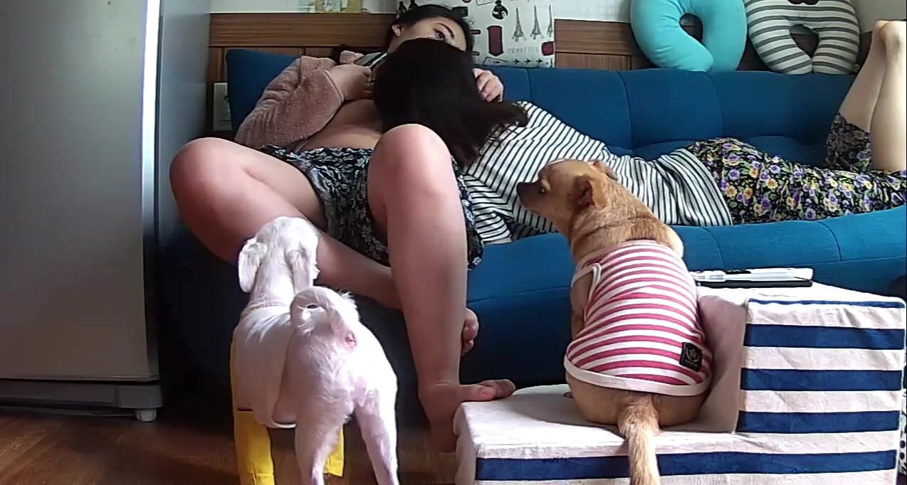 Nhỏ cháu gái 16 tuổi nứng lồn và bà dì khát tình làm những hành động lạ