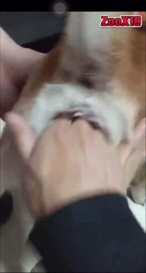 Zai trẻ Đjt *** “ kb chia sẻ video nha👇🏻