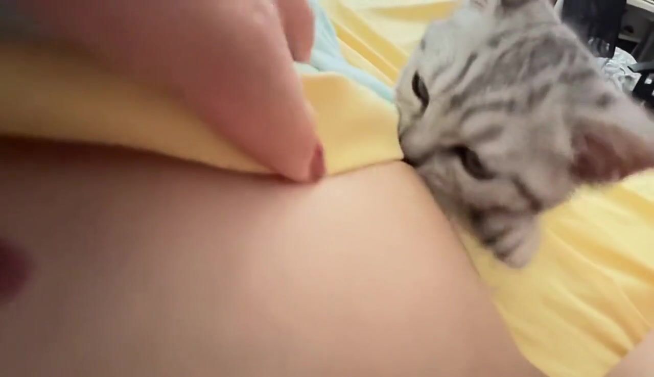 Cô chủ dâm dục cho mèo lồn bú vú, các bạn nữ nên học theo vì cực nứng 💦💦💦 (2)