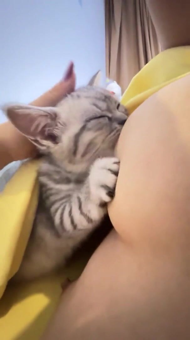 Cô chủ dâm dục cho mèo lồn bú vú, các bạn nữ nên học theo vì cực nứng 💦💦💦 (3)