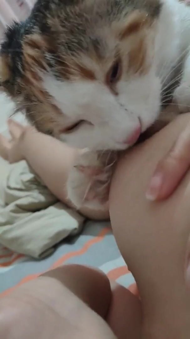 Gái xinh dâm dục cho mèo lồn bú vú, các bạn nữ nên học theo vì cực nứng 🥵🥵🥵 (2)