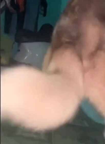 Gái việt cho chó địt dính lẹo